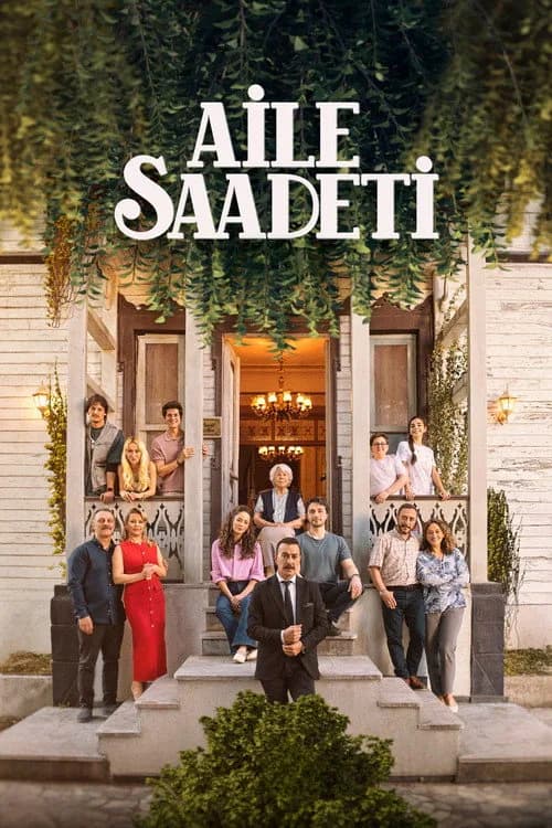 Aile Saadeti (2025) Türk dizisi afişi