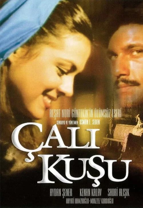Çalıkuşu (1986) Türk dizisi afişi