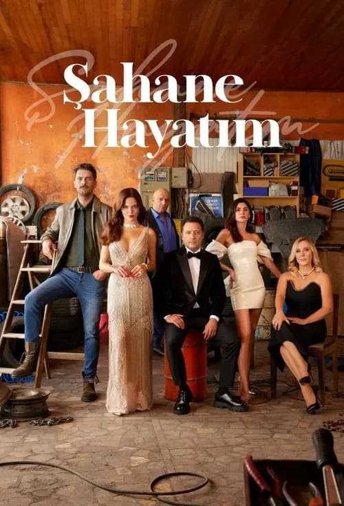 Şahane Hayatım (2023) Türk dizisi afişi