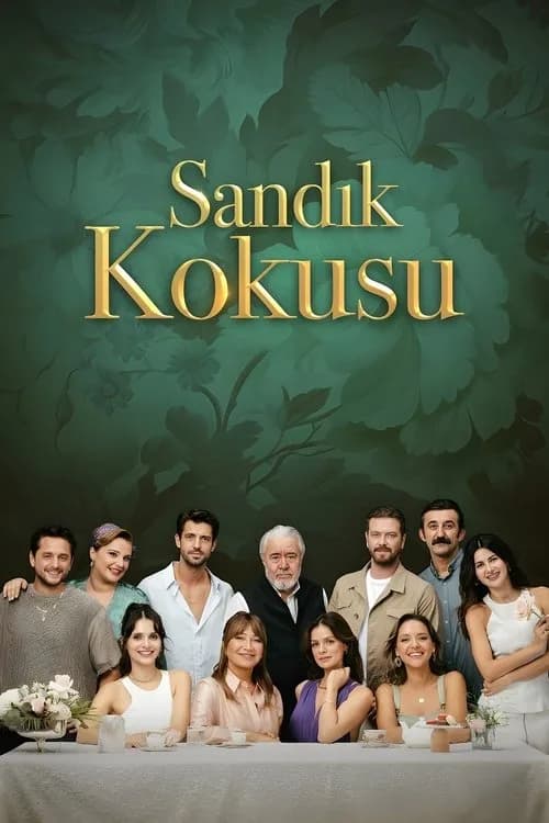 Sandık Kokusu (2023) Türk dizisi afişi