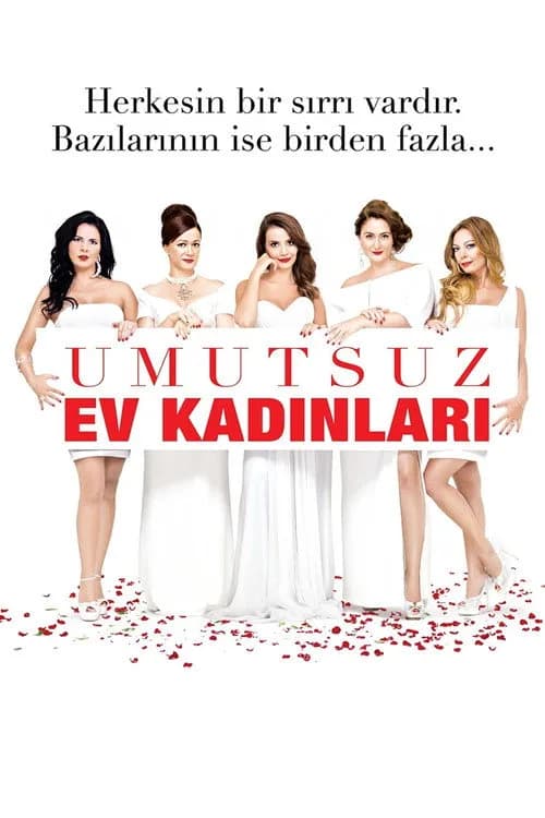 Umutsuz Ev Kadınları (2011) Türk dizisi afişi