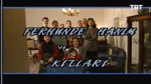 Ferhunde Hanımlar (1993–1994) Türk dizisi afişi