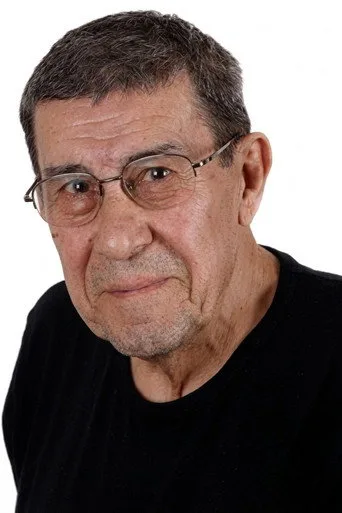 Zihni Göktay, Baba dizisinde Ethem rolünde
